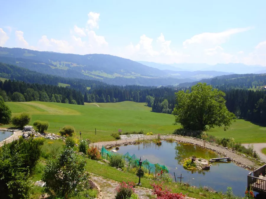 Schwimmteich Schwimmteich