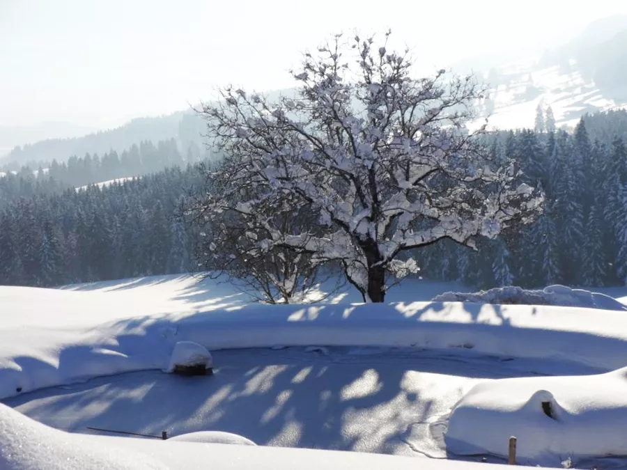 Winter im Allgäu Winter im Allgäu